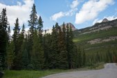 Enlarge photo 55