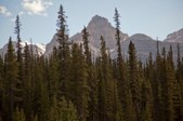 Enlarge photo 58