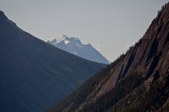 Enlarge photo 83