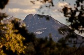 Enlarge photo 113