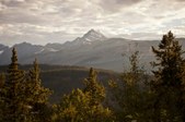 Enlarge photo 117