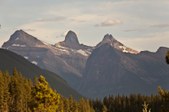 Enlarge photo 119
