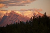 Enlarge photo 128