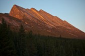 Enlarge photo 130