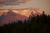 Enlarge photo 133