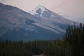 Enlarge photo 134