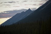Enlarge photo 135