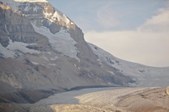 Enlarge photo 142