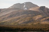 Enlarge photo 157