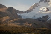 Enlarge photo 158