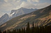 Enlarge photo 176
