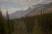 Enlarge photo 179