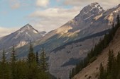 Enlarge photo 180