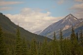 Enlarge photo 182