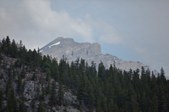 Enlarge photo 252