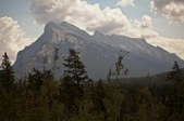 Enlarge photo 254
