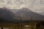 Enlarge photo 257