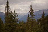 Enlarge photo 261