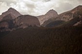 Enlarge photo 269