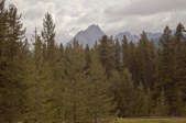 Enlarge photo 275