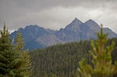 Enlarge photo 276