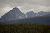 Enlarge photo 277