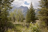 Enlarge photo 281