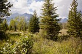 Enlarge photo 283