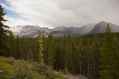 Enlarge photo 304