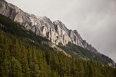 Enlarge photo 306