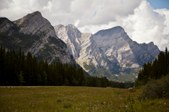Enlarge photo 308