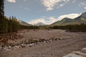Enlarge photo 310