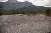 Enlarge photo 311