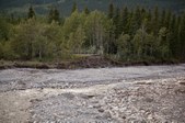 Enlarge photo 312