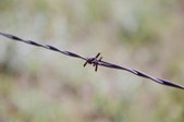 Enlarge photo 325