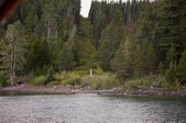 Enlarge photo 332