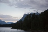 Enlarge photo 341