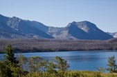 Enlarge photo 347