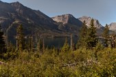 Enlarge photo 352
