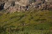 Enlarge photo 358