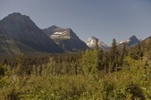 Enlarge photo 359
