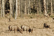 Enlarge photo 32