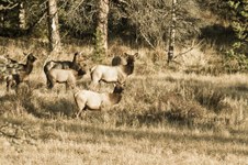 Enlarge photo 40