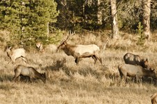 Enlarge photo 43