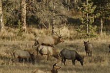 Enlarge photo 44