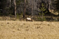Enlarge photo 68