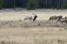 Enlarge photo 74