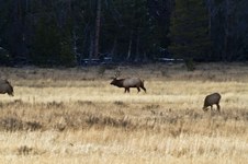 Enlarge photo 75