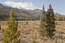 Enlarge photo 22