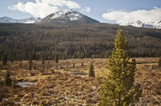 Enlarge photo 23